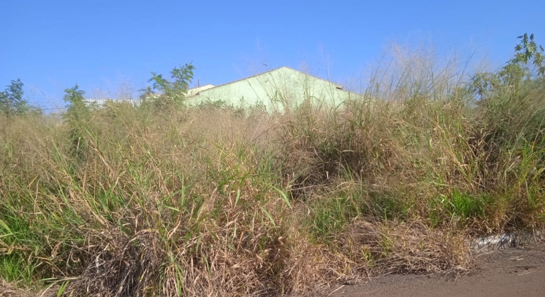 Moradores de Lagoa Formosa reclamam de sujeira em lotes vagos e terrenos baldios 