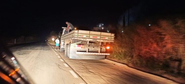 Motorista bate caminhão em animal na pista em Patos de Minas