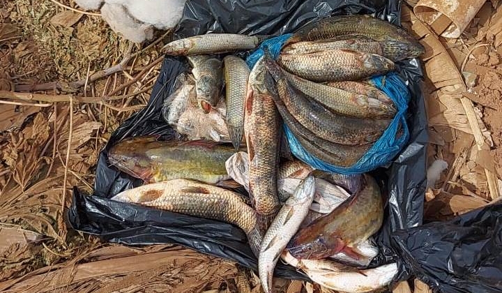 Homens são detidos praticando pesca proibida em represa de propriedade particular em Carmo do Paranaíba Homens são detidos praticando pesca proibida em represa de propriedade particular em Carmo do Paranaíba