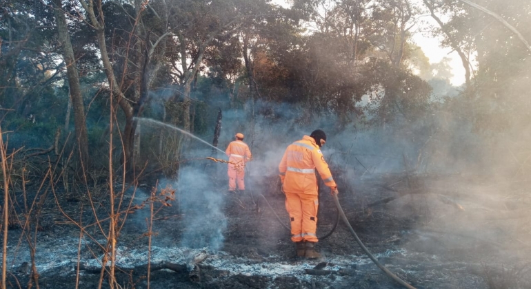 Bombeiros combatem incêndio na Mata do Cachorro em Patos de Minas 