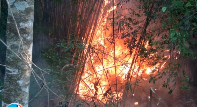 Em sete meses, Minas Gerais tem o maior número de incêndios em 11 anos