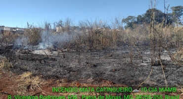 Novo incêndio criminoso é registrado na Mata do Catingueiro em Patos de Minas e suspeito é preso