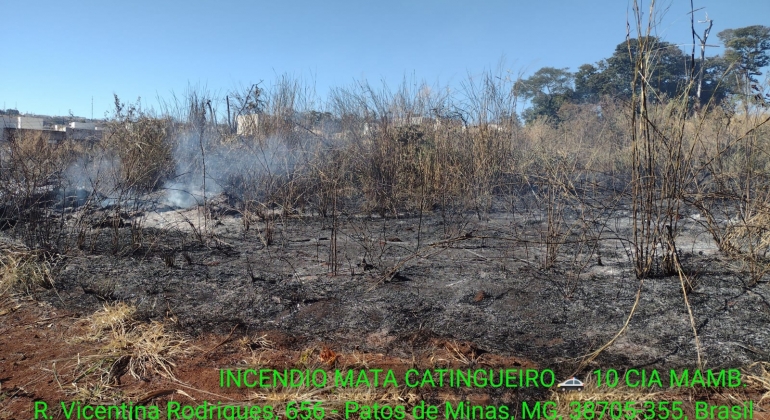 Novo incêndio criminoso é registrado na Mata do Catingueiro em Patos de Minas e suspeito é preso