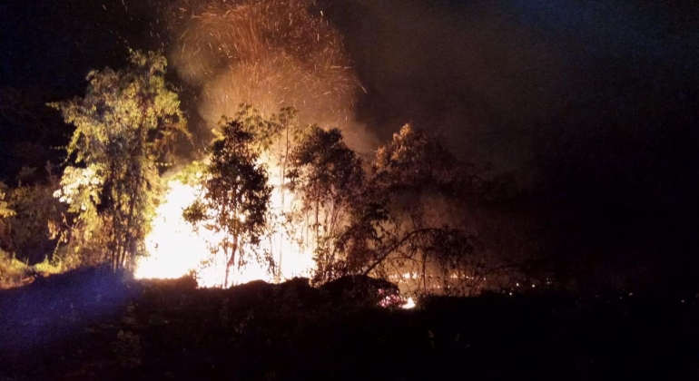 Mata do Catingueiro em Patos de Minas é atingida por terceiro incêndio em menos de uma semana