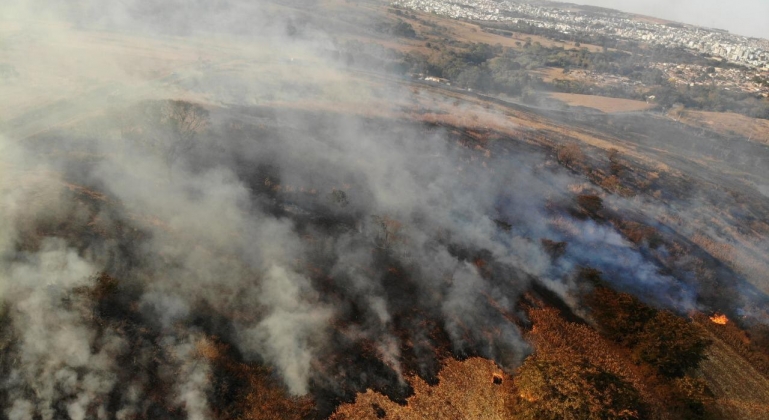 Incêndio consome 50 hectares de lavoura de milho em Patos de Minas