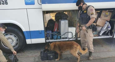 Com ajuda de cães varejadores, Polícia Militar Rodoviária realiza ação na BR-146 e na MG-187