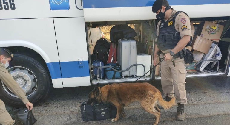 Com ajuda de cães varejadores, Polícia Militar Rodoviária realiza ação na BR-146 e na MG-187