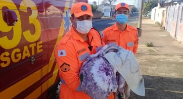 Corpo de Bombeiros de Patrocínio auxilia mulher em trabalho de parto