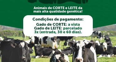 Sindicato dos Produtores Rurais de Lagoa Formosa realiza Leilão Misto no próximo sábado (28) no modo presencial e virtual