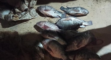 Indivíduos são detidos furtando peixes em fazenda no município de Serra do Salitre