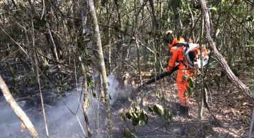 Incêndio no município de Lagoa Formosa destrói aproximadamente 50 hectares de reservas, pastagens e palhadas