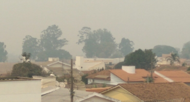 Incêndios clandestinos matam animais e afetam respiração da população nas regiões do Alto Paranaíba