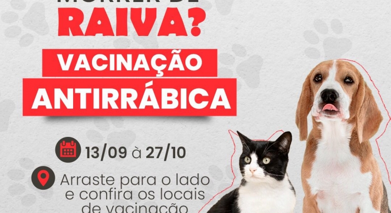 Vacinação antirrábica em Lagoa Formosa começa na próxima segunda-feira (13)