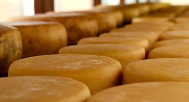 Minas Gerais será sede de concurso internacional de queijos