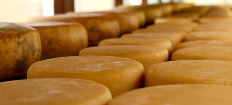 Minas Gerais será sede de concurso internacional de queijos