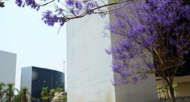 Governo do Estado inicia pagamento do passivo de férias-prêmio nesta segunda-feira (27/9)