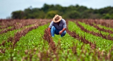 Prazo para declarar imposto sobre propriedade rural acaba nesta quinta-feira (30)