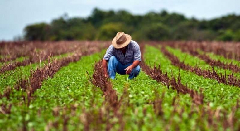 Prazo para declarar imposto sobre propriedade rural acaba nesta quinta-feira (30)