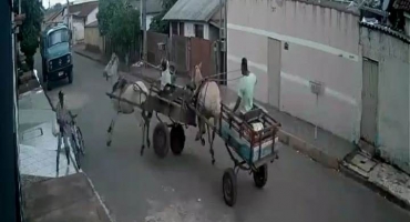  Acidente entre duas carroças deixa homem ferido em Carmo do Paranaíba – Veja vídeo