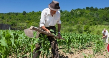 Mais de 28 mil agricultores familiares de MG vão receber o Garantia-Safra