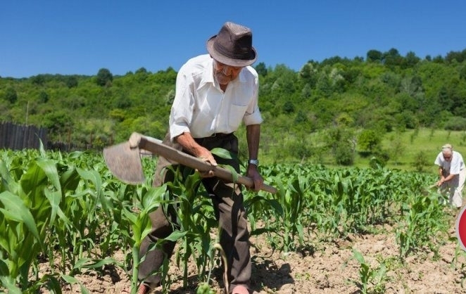 Mais de 28 mil agricultores familiares de MG vão receber o Garantia-Safra