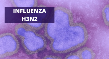 Primeiro caso suspeito de H3N2 é registrado em Patos de Minas e amostra é enviada para FUNED