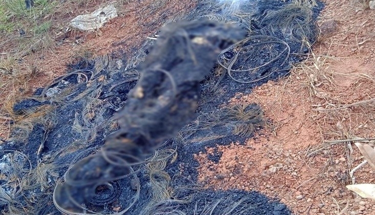 Corpo de homem é encontrado carbonizado no “Morro do Pião” no município de Lagoa Formosa 