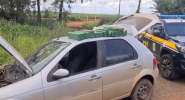 PRF apreende cerca de 30 quilos de maconha na BR-365 no município de Patos de Minas 