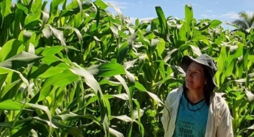 Mulheres comandam 31% das propriedades rurais no País, revela IBGE