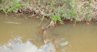  Corpo em avançado estado de decomposição é localizado próximo à ponte do Córrego Capivara em Lagoa Formosa