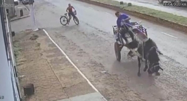 Inusitado: vídeo mostra cavalo puxando carroça disparando e atingindo veículo estacionado em Lagoa Grande