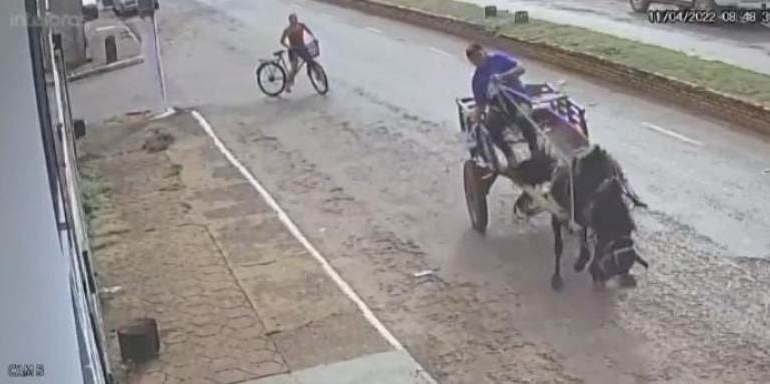 Inusitado: vídeo mostra cavalo puxando carroça disparando e atingindo veículo estacionado em Lagoa Grande