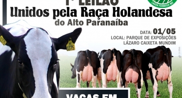 Festa do Feijão: 1º Leilão Unidos pela Raça Holandesa do Alto Paranaíba acontece em Lagoa Formosa 