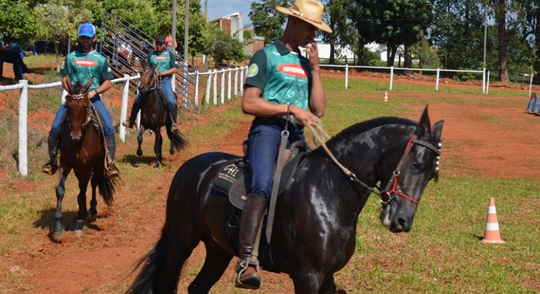 Festa do Feijão: 11ª Copa de Cavalo Mangalarga Marchador é realizada no Parque de Exposições 