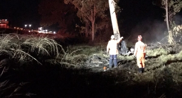 Após queimada às margens da BR-365 Corpo de Bombeiros corta árvores condenadas