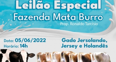 O Sindicato dos Produtores Rurais de Lagoa Formosa realiza neste domingo (5), leilão especial da Fazenda Mata-Burro