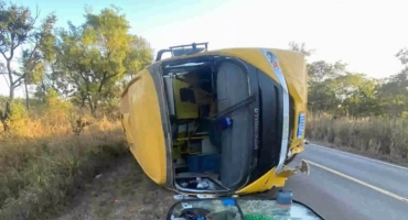 Ônibus que transportava passageiros para doação de sangue atropela anta, tomba na pista e deixa 4 feridos 