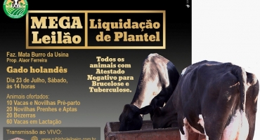 Sindicato dos Produtores Rurais de Lagoa Formosa realiza Mega Leilão Liquidação de Plantel 