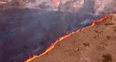 Incêndio destrói grande área de vegetação no Bairro Ipanema em Patos de Minas