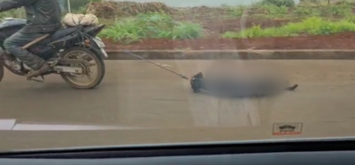 Covardia: motociclista é flagrado arrastando cachorro ainda com vida, em Patos de Minas; veja vídeo