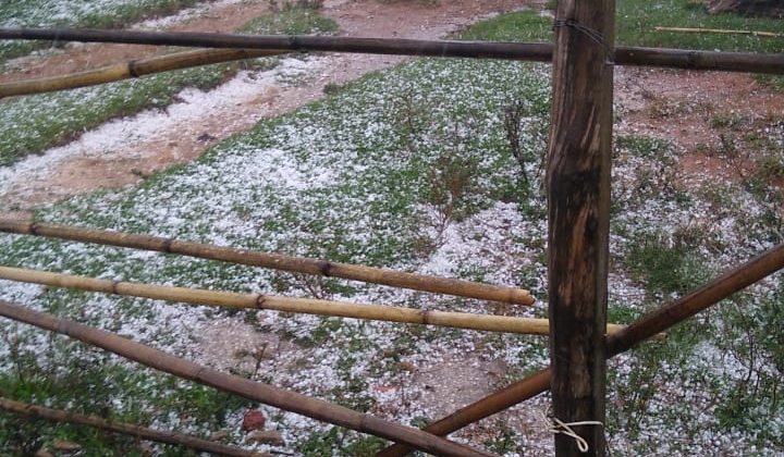 Produtores rurais atingidos pela chuva de granizo devem procurar ajuda técnica