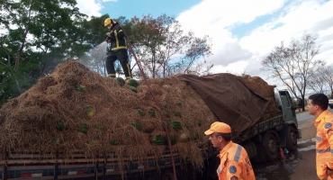 Caminhão carregado com melancias sofre princípio de incêndio; carga seguia para o CEASA de Patos de Minas