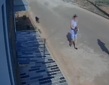 Carmo do Paranaíba – Mulher é flagrada arrancando planta e levando embora da porta de uma casa no bairro Versol Costa; veja vídeo