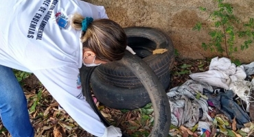 Último LIRAa de 2022 aponta médio risco de infestação por Aedes aegypti em Patos de Minas