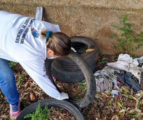 Último LIRAa de 2022 aponta médio risco de infestação por Aedes aegypti em Patos de Minas