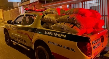 Polícia Militar de Carmo do Paranaíba recupera sacas de café furtadas e prende suspeito 