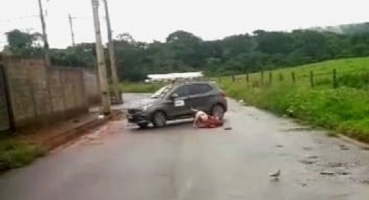 Vídeo mostra cachorro atacando e matando outro cão menor no bairro Jardim Quebec em Patos de Minas