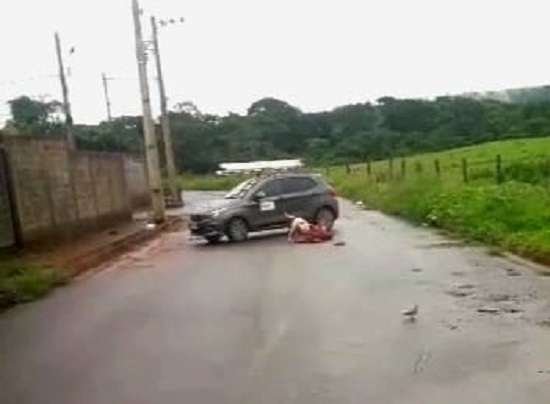 Vídeo mostra cachorro atacando e matando outro cão menor no bairro Jardim Quebec em Patos de Minas