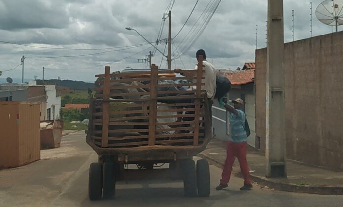 Carmo do Paranaíba – Prefeitura realiza ‘Mutirão de Limpeza” nos bairros da cidade; Já são 24 casos de dengue confirmados no município