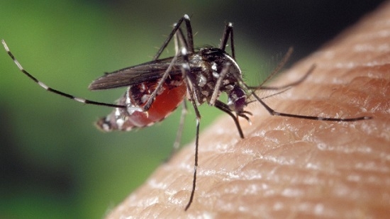 A partir de 1º de abril, atendimento de patenses com dengue deve ser concentrado no Batalhão de Polícia Militar